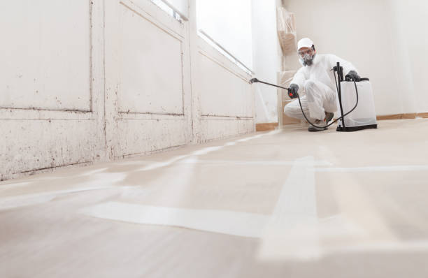 24/7 Emergency Attic Mold Remediation experts in Winter Springs, FL
